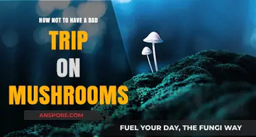 Avoiding Bad Trips: Essential Tips for Safe Mushroom Experiences