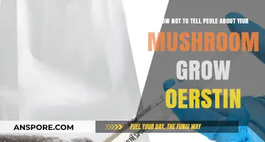 Stealthy Spore Secrets: Keeping Your Mushroom Grow Operation Under Wraps