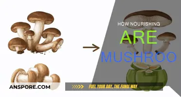 Mushrooms: Nature's Superfood for Ultimate Health