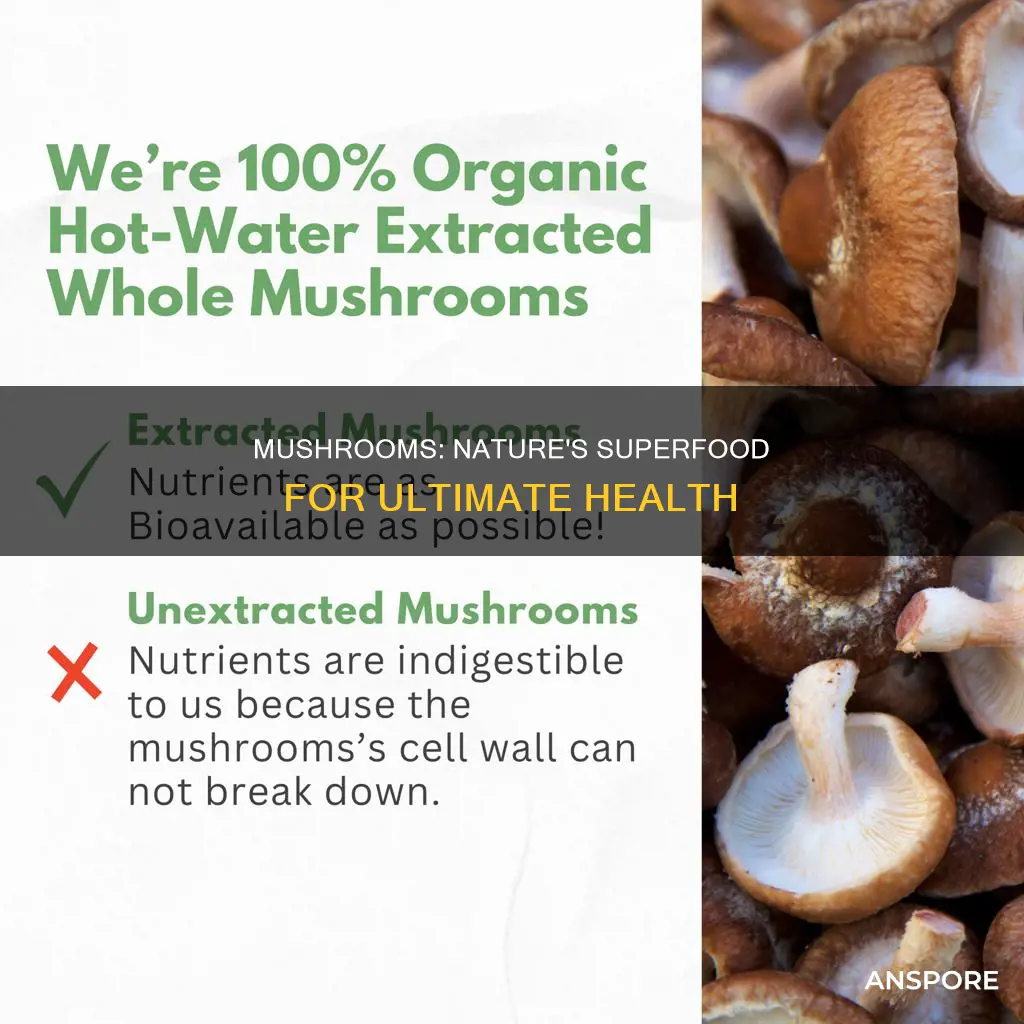 how nourishing are mushrooms