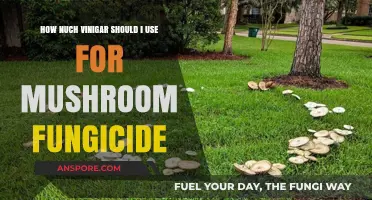 Effective Vinegar Dosage for Mushroom Fungicide: A Comprehensive Guide