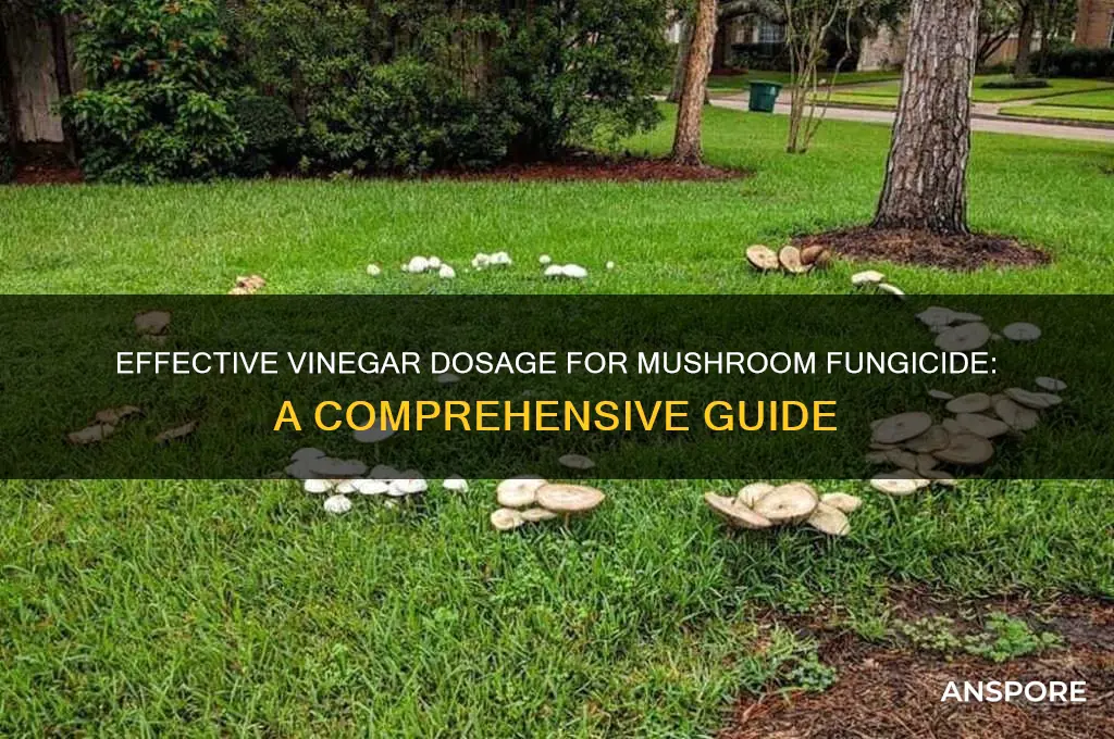 how nuch vinigar should i use for mushroom fungicide