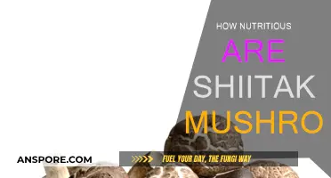 Shiitake Mushrooms: Superfood or Super-Myth?