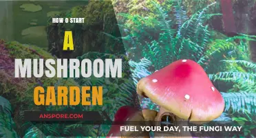 Mushroom Gardening: Getting Started and Growing
