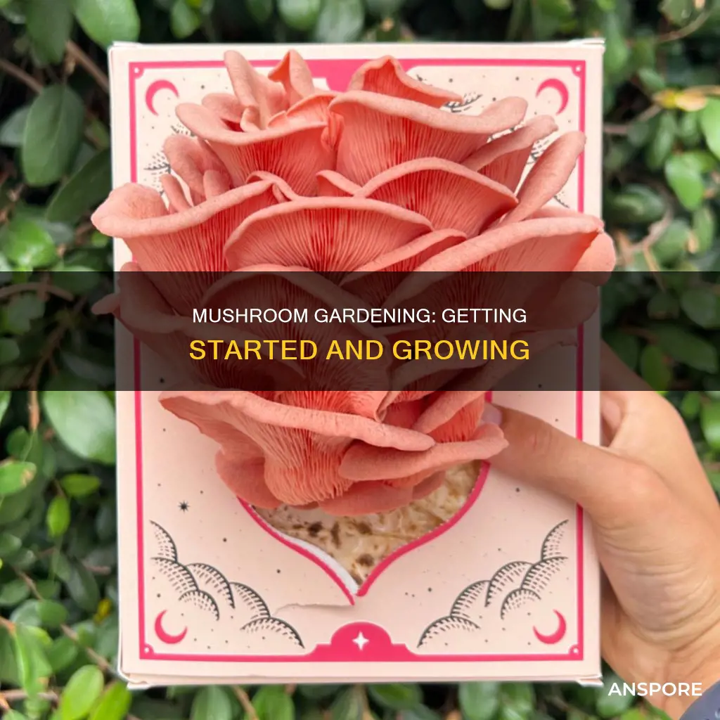 how o start a mushroom garden