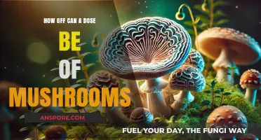 How Accurate Are Mushroom Doses? Risks and Safety Tips