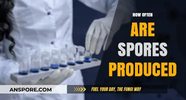 Understanding the Frequency of Spore Production in Various Organisms