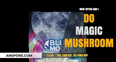 Safe Psilocybin Frequency: How Often Can You Do Magic Mushrooms?