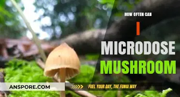 Microdosing Mushrooms: Optimal Frequency for Safe and Effective Results