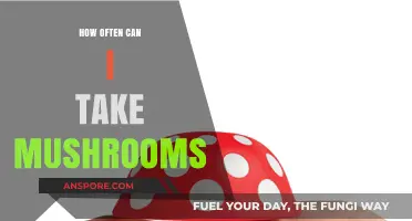 Safe Mushroom Consumption: How Often Can You Take Them?