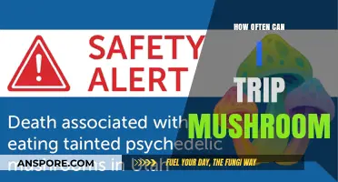 Safe Psilocybin Frequency: How Often Can You Trip Mushrooms?