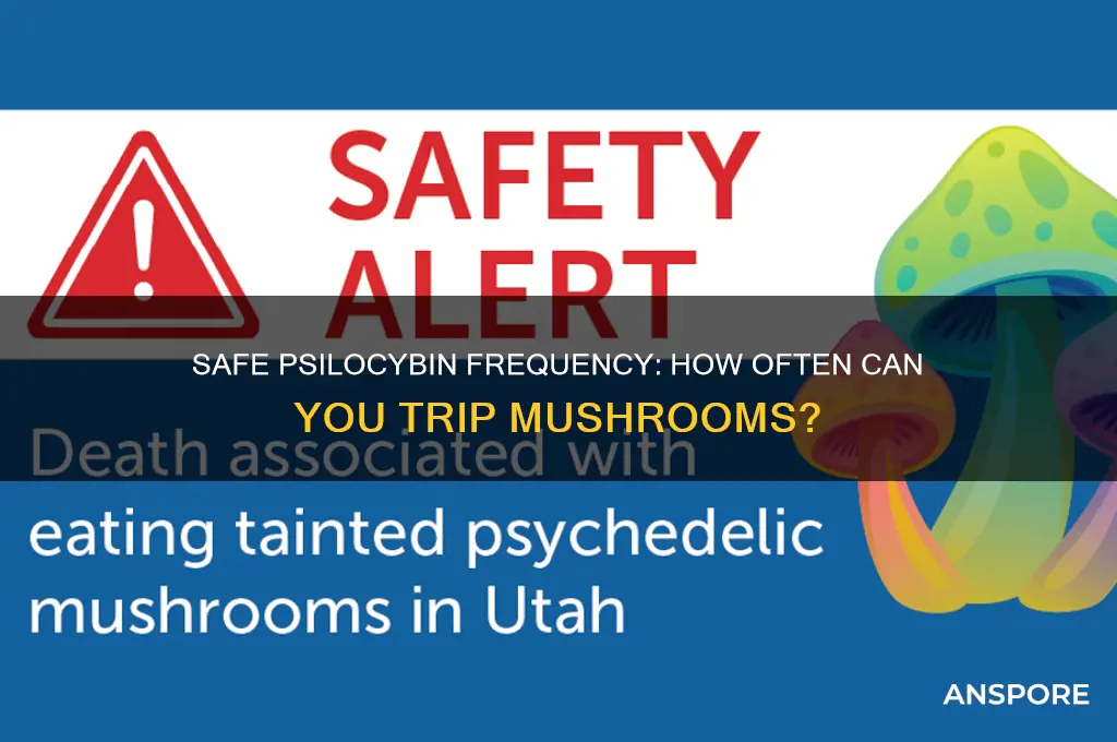 how often can i trip mushrooms