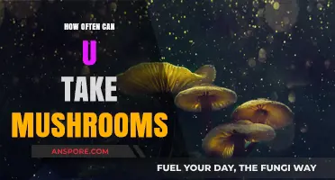 Safe Mushroom Consumption: How Often Can You Take Them?