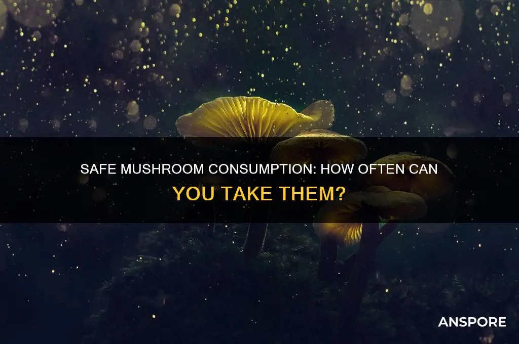 how often can u take mushrooms