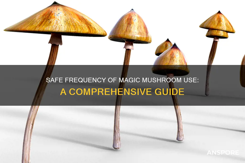 how often can you do magic mushrooms