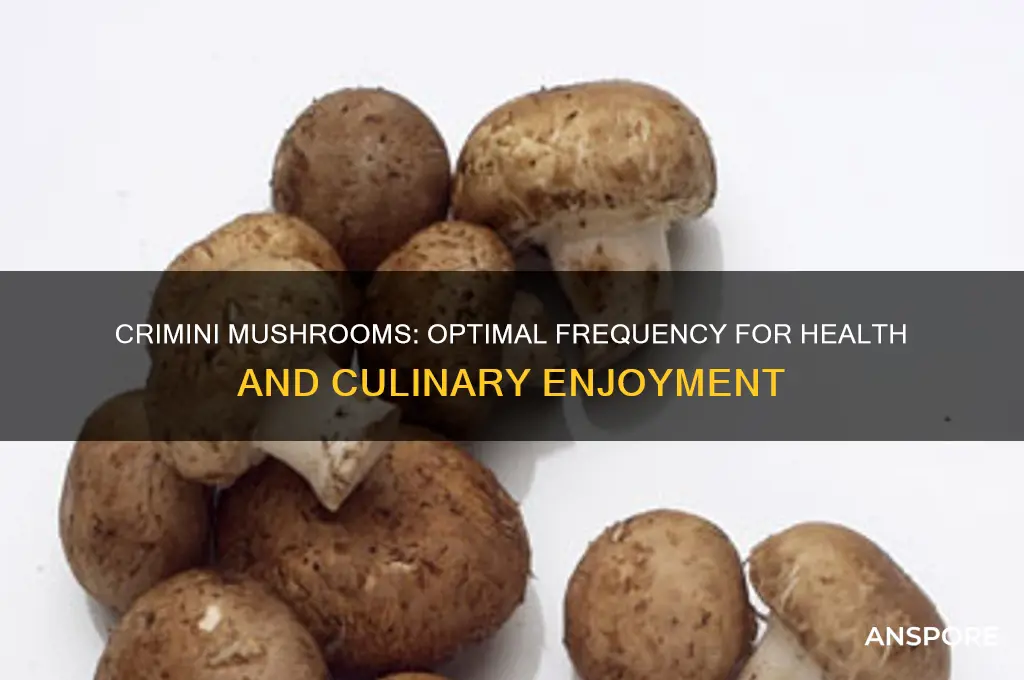 how often can you eat crimini mushrooms