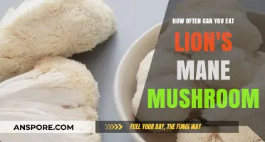Lion's Mane Mushrooms: Optimal Frequency for Consumption and Benefits