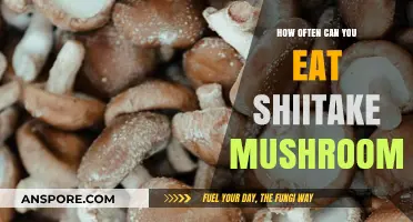Shiitake Mushrooms: Optimal Frequency for Health and Culinary Delight