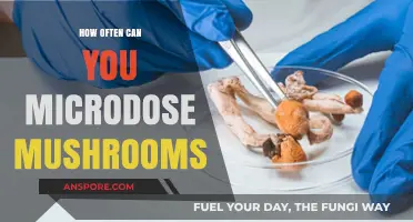 Microdosing Mushrooms: Optimal Frequency for Safe and Effective Results