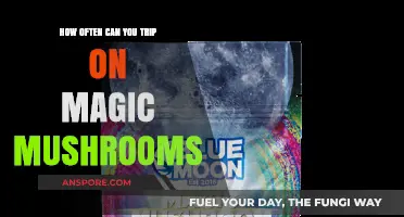 Magic Mushrooms: Frequency and Safety of Psychedelic Experiences