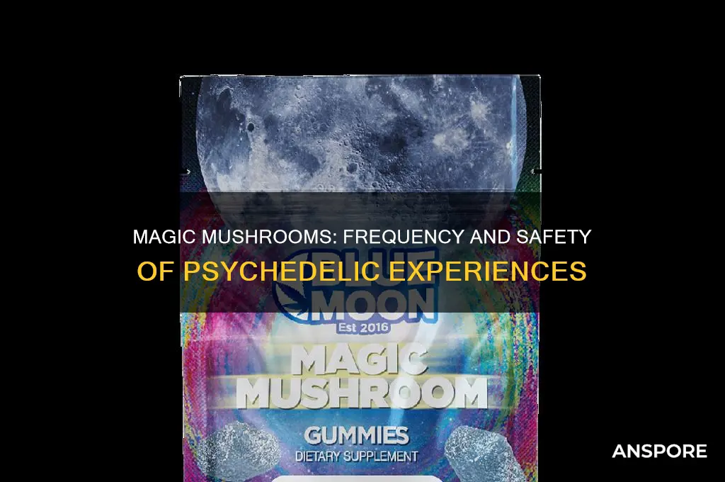 how often can you trip on magic mushrooms