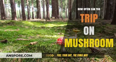 Exploring Mushroom Trips: Frequency, Safety, and Responsible Use