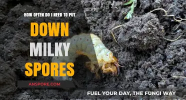 Effective Milky Spore Application Frequency for Grub Control in Lawns
