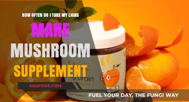 Lions Mane Mushroom — Optimal Dosage and Timing