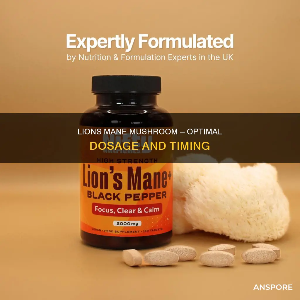 how often do i take my lions mane mushroom supplement
