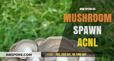 The Mystery of Mushroom Spawning in Animal Crossing: New Leaf