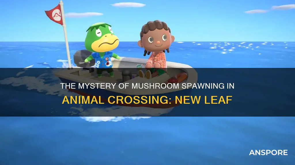 how often do mushrooms spawn acnl