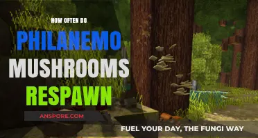 Exploring the Mysterious Philanemo Mushroom Respawn Pattern