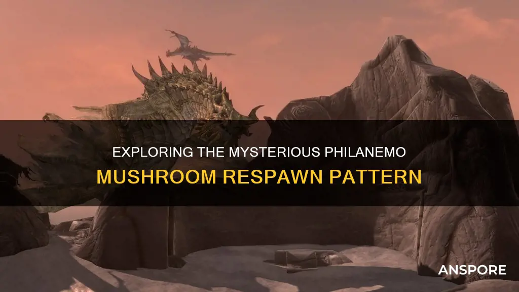 how often do philanemo mushrooms respawn