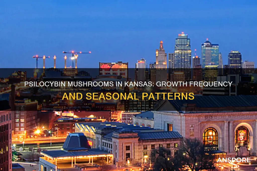 how often do psilocybin mushrooms grow in kansas
