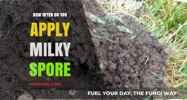Effective Milky Spore Application Frequency for Grub Control in Lawns