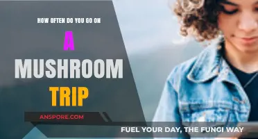 Exploring the Frequency of Mushroom Trips