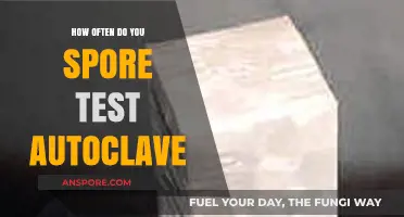 How Often Should You Spore Test Your Autoclave for Safety?