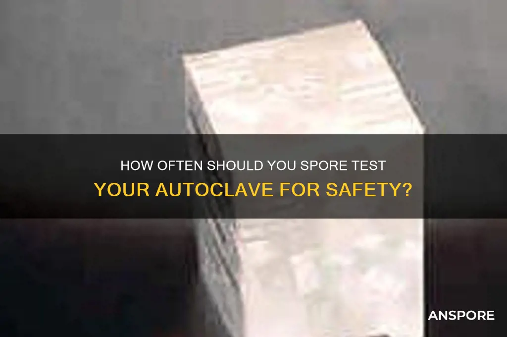how often do you spore test autoclave