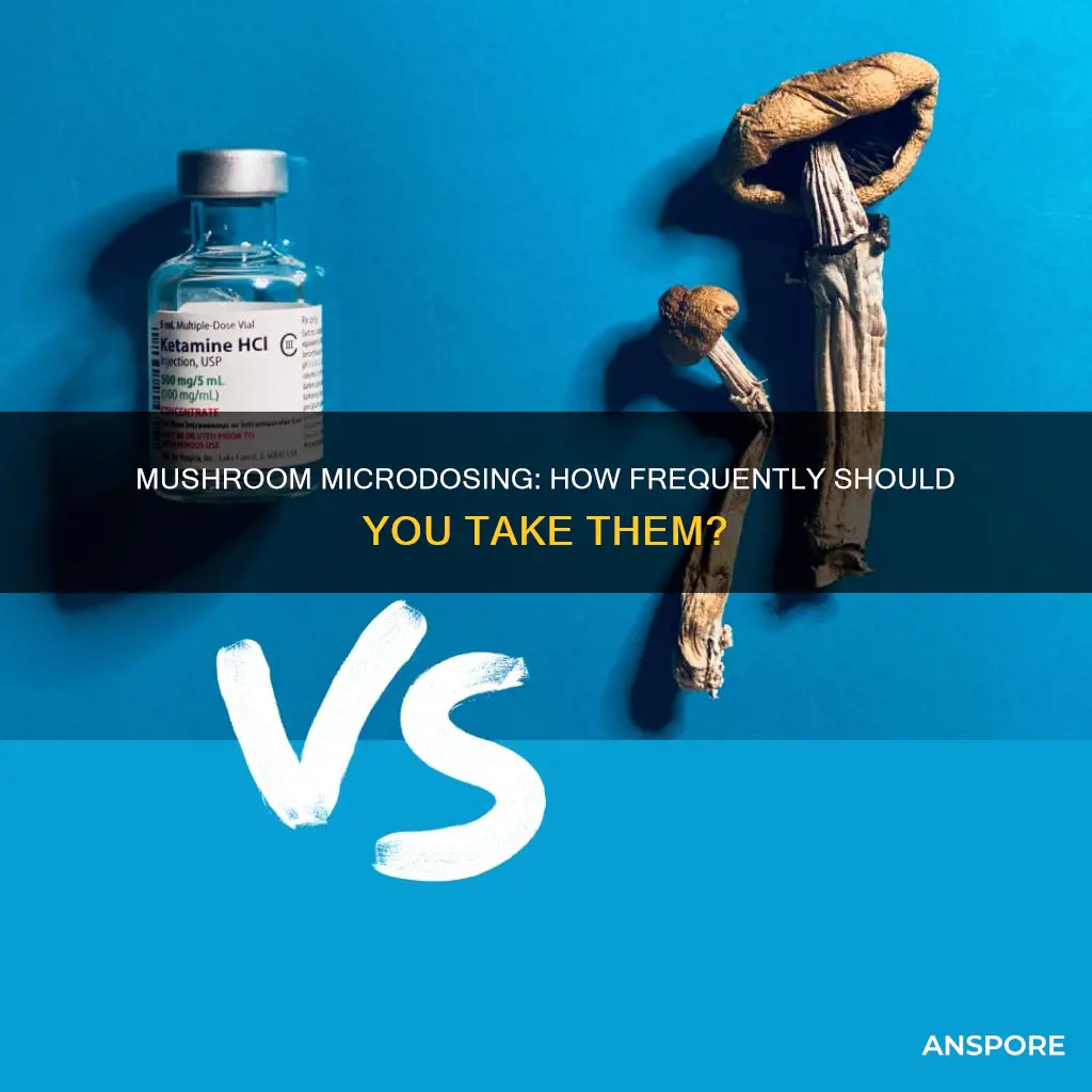 how often do you take mushrooms