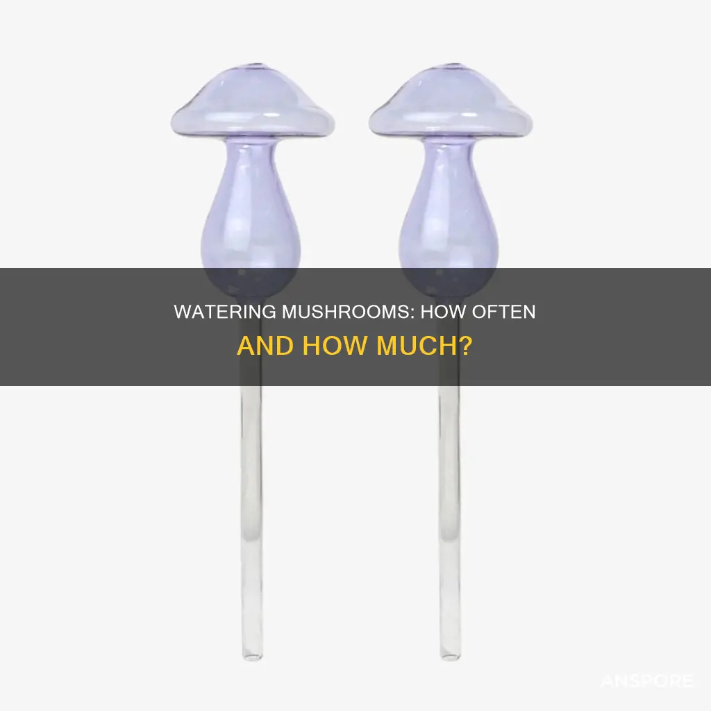 how often do you water mushrooms