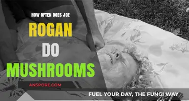Joe Rogan's Mushroom Microdosing Routine Explored