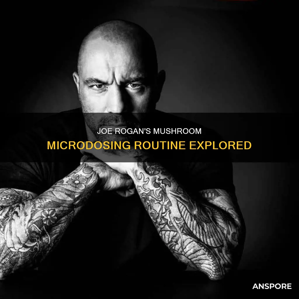 how often does joe rogan do mushrooms