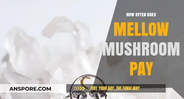 Mellow Mushroom Pay Frequency: All You Need to Know