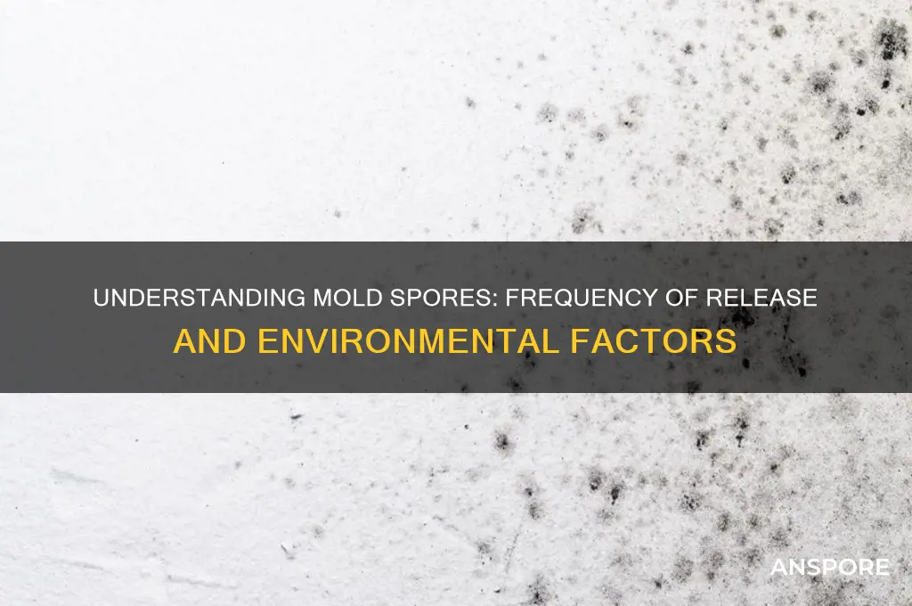 how often does mold release spores