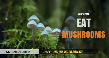 Optimal Mushroom Consumption: How Often Should You Enjoy This Superfood?