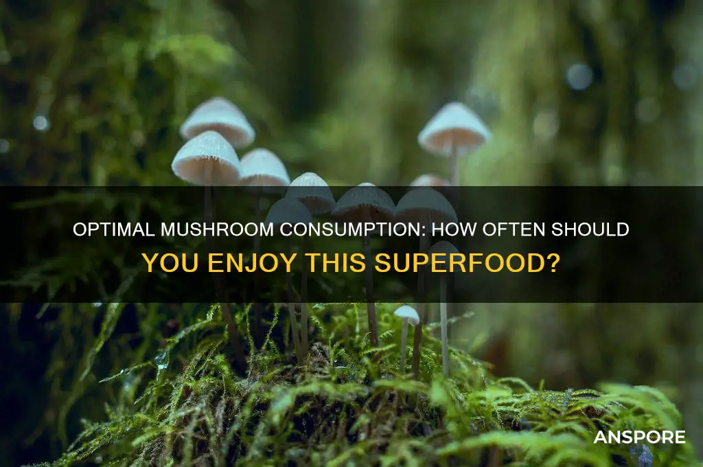 how often eat mushrooms