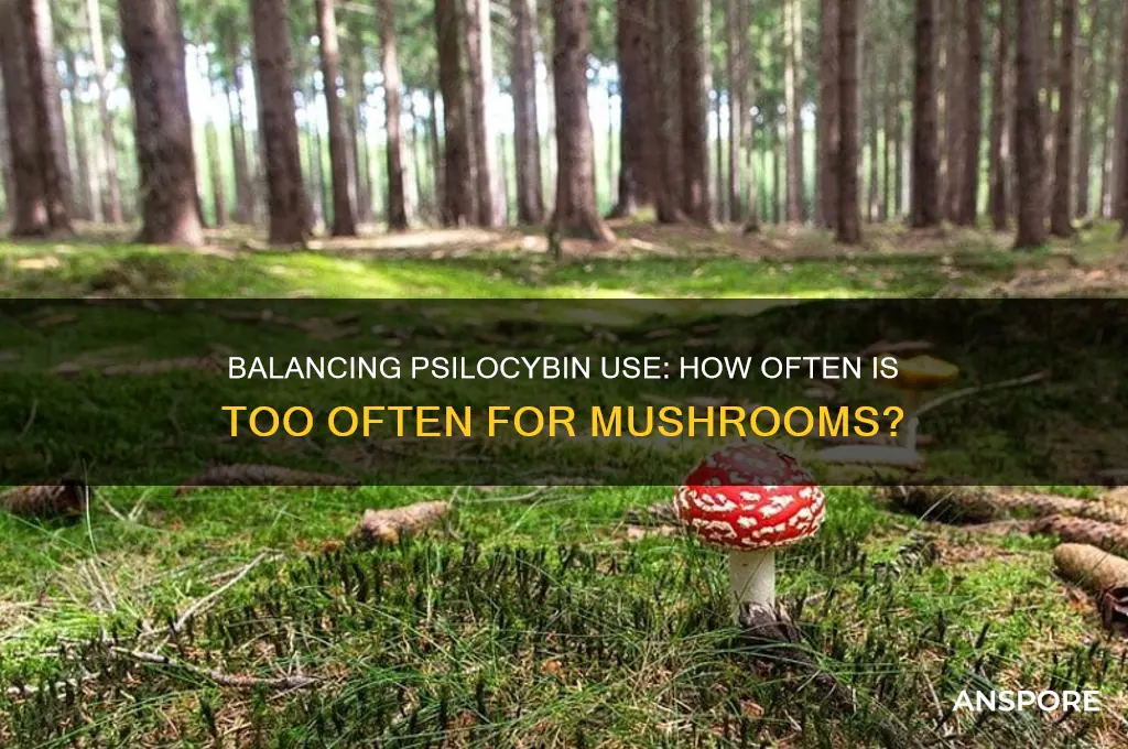 how often is too often to take mushrooms