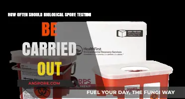 Optimal Frequency for Biological Spore Testing in Sterilization Processes