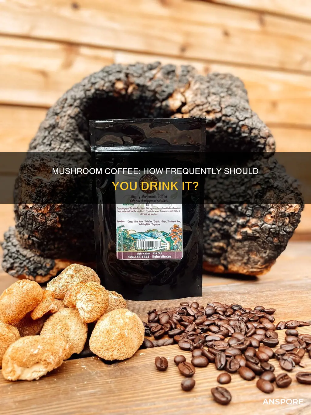how often should i drink mushroom coffee