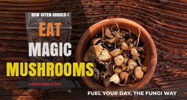 Magic Mushrooms Dosage: Finding the Right Frequency for Safe Use